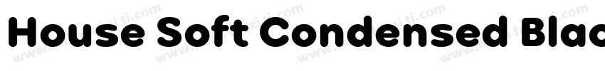 House Soft Condensed Black Italic字体转换